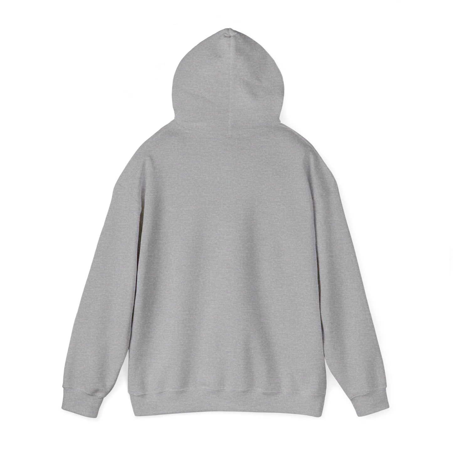 "It's Right Here in the Text" Hoodie — Funny Texting Graphic Sweatshirt